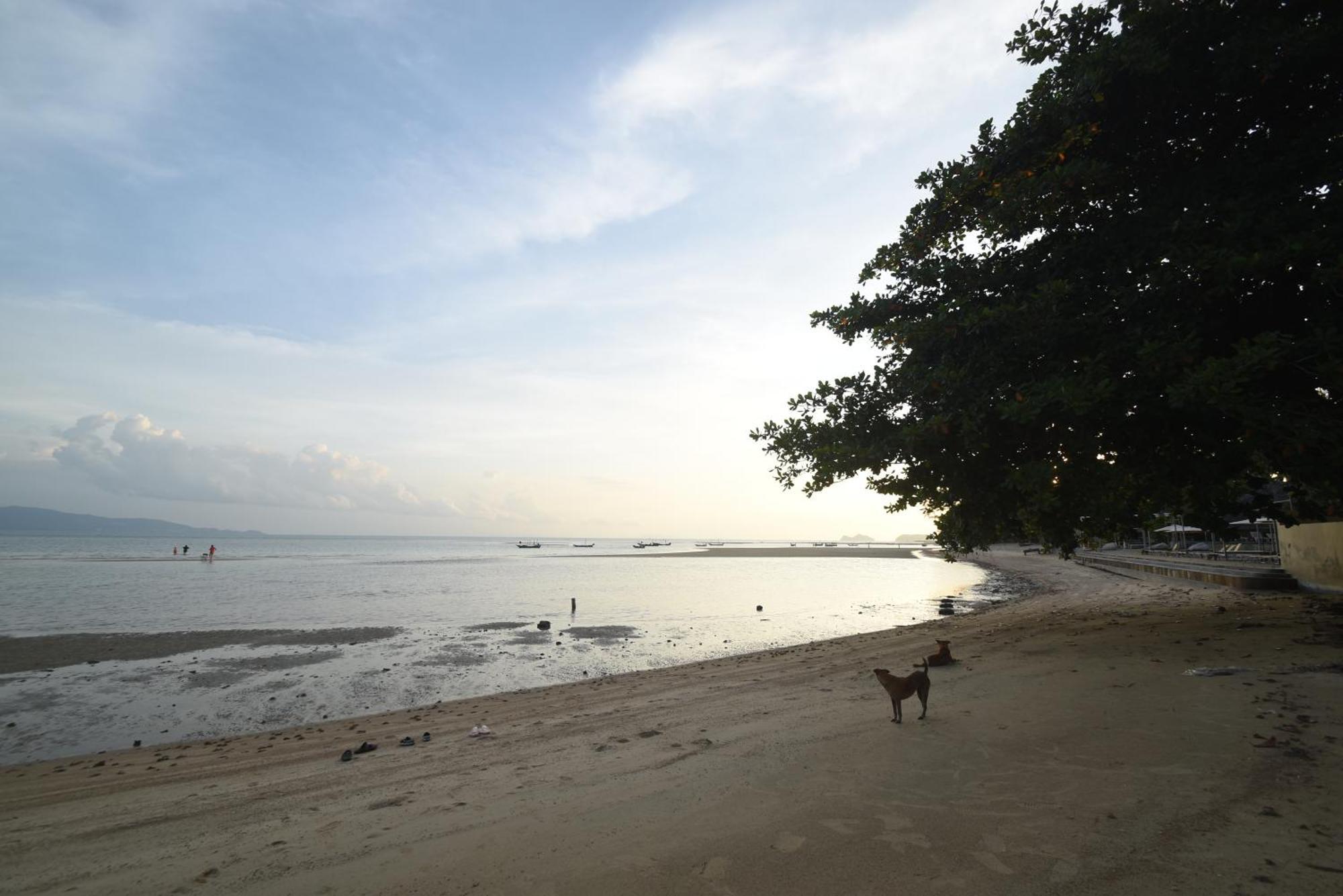 Blue Lotus Resort Baan Tai Eksteriør bilde